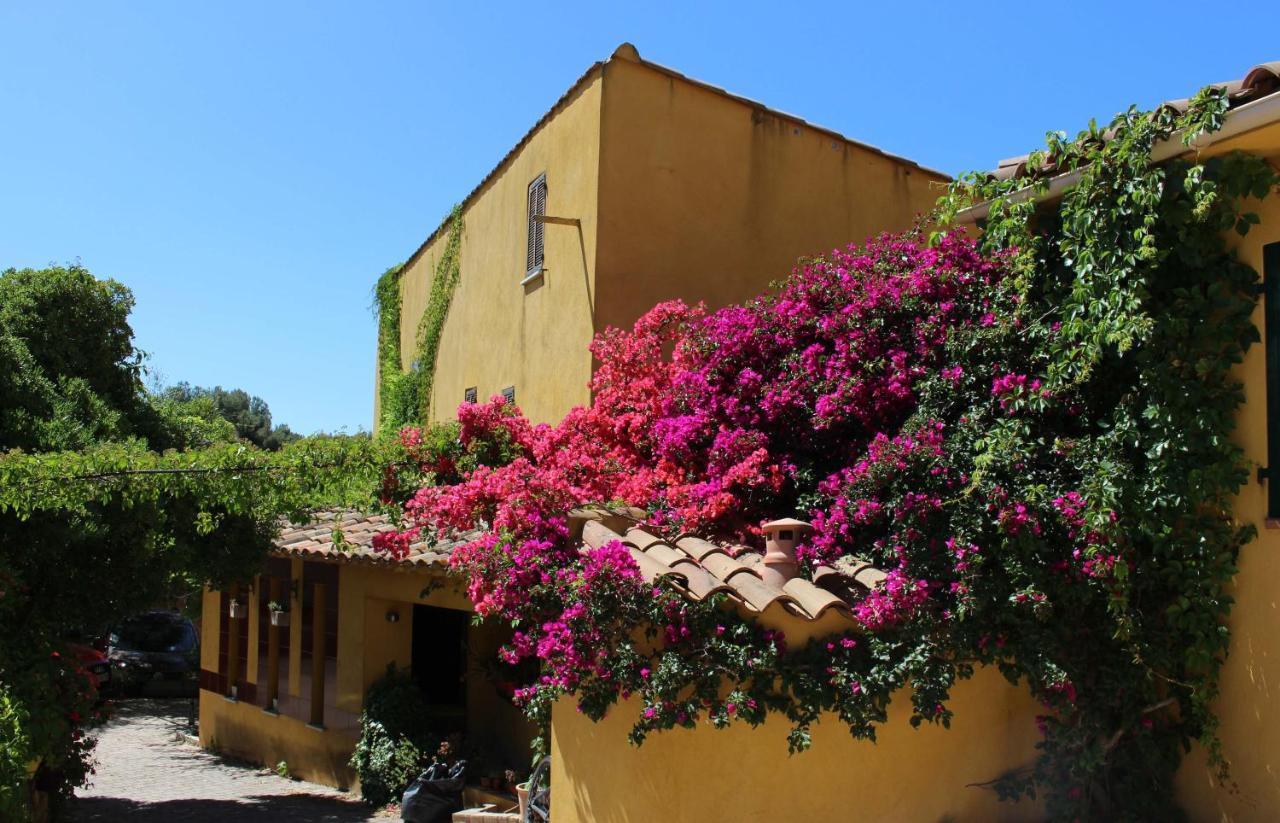 Bel Air -Les Restanques Διαμέρισμα Λα Σιοτά Εξωτερικό φωτογραφία
